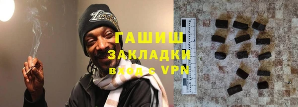 спиды Богородицк