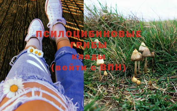 марки nbome Богданович