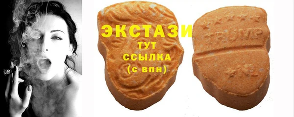 спиды Богородицк