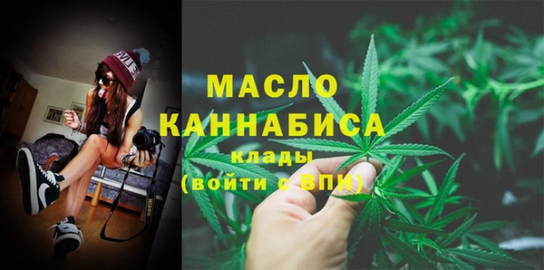 спиды Богородицк