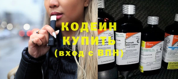 спиды Богородицк