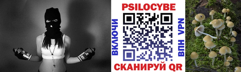 Галлюциногенные грибы Cubensis  Топки 